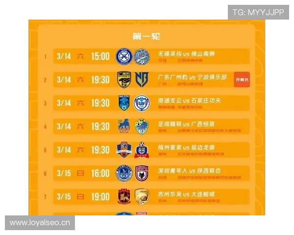 中甲联赛精彩纷呈 多支队伍争夺晋级资格 新赛季前瞻分析 - 副本 - 副本