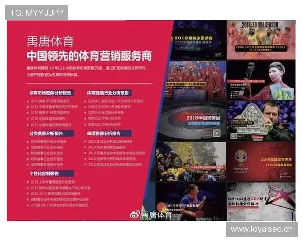 体育数据中心驱动下的全方位竞技分析与决策支持体系 - 副本 (3)